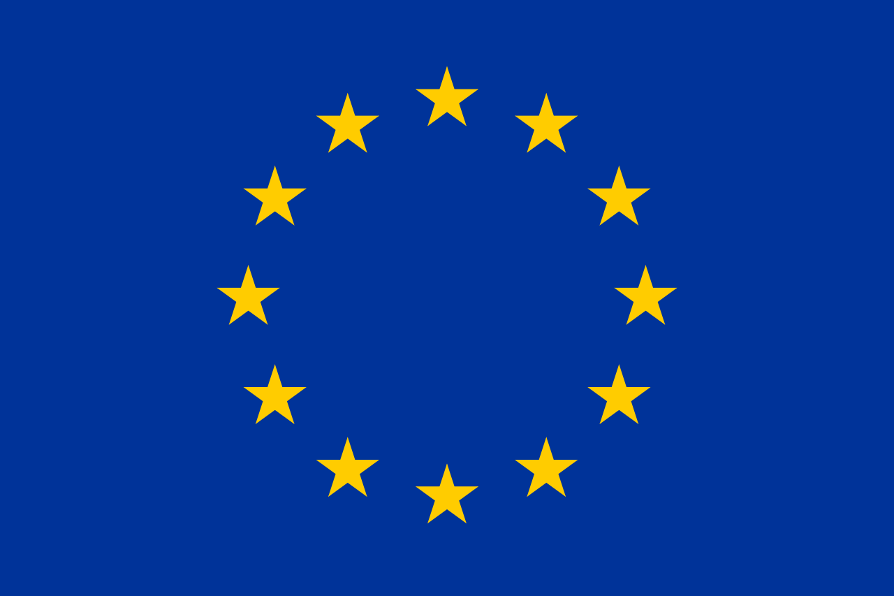 EU Logo